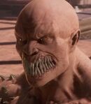 Baraka