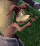 Rudy