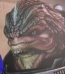 Urdnot Grunt