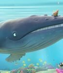 Balena