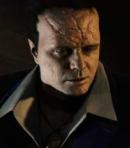 Joseph Martello / Hammerhead