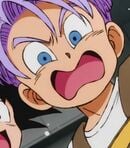 Trunks